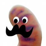 PanKlobaska